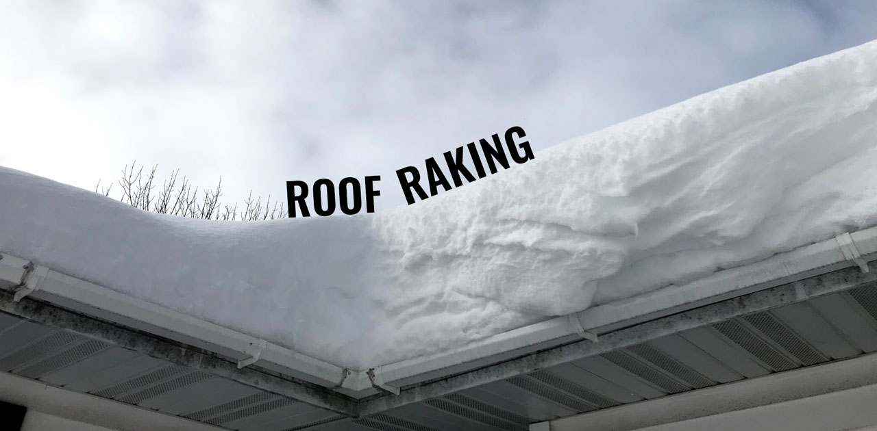 Should I Rake My Roof?