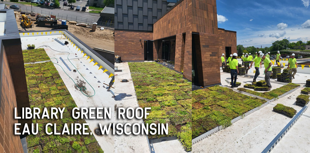 library green roof eau claire