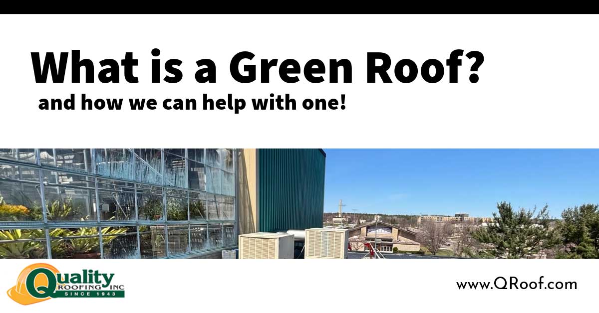 what is a green roof
